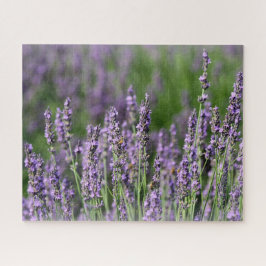 Honingbijen op Lavender Flowers Legpuzzel