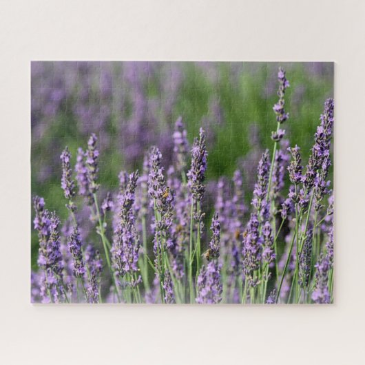 Honingbijen op Lavender Flowers Legpuzzel (Horizontaal)