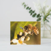 Honingbijen op Mangrove Blossom Briefkaart (Staand voorkant)