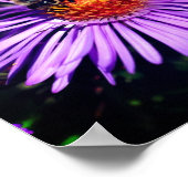 Honingbijen op Paarse rooster Poster (Hoek)