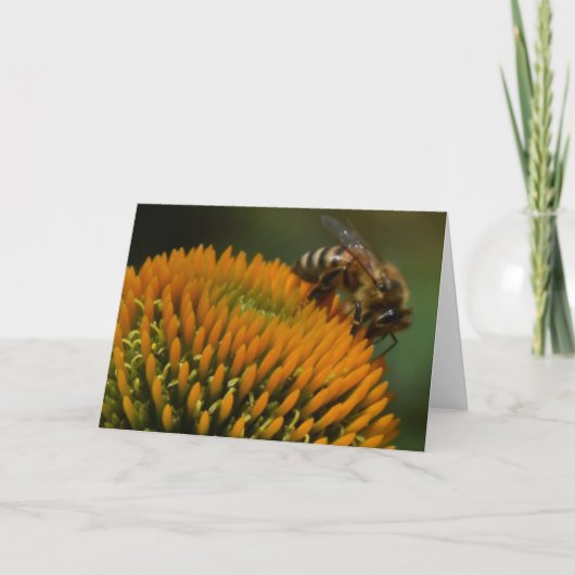 Honingbijen op Wenskaart van Coneflower Kaart (Voorkant)