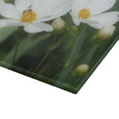 Honingbijen op witte kosmos — Natuur Snijplank (Hoek)