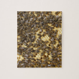 Honingbijen overal legpuzzel