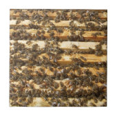 Honingbijen overal tegeltje (Voorkant)