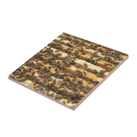 Honingbijen overal tegeltje (Zijkant)