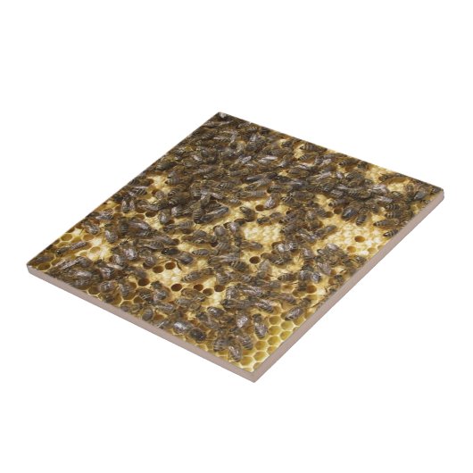 Honingbijen overal tegeltje (Zijkant)