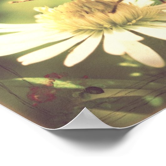 Honingbijen Poster (Hoek)