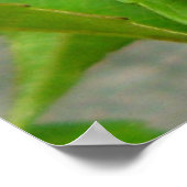 Honingbijen Poster (Hoek)