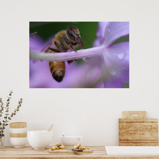 Honingbijen Poster (Keuken)