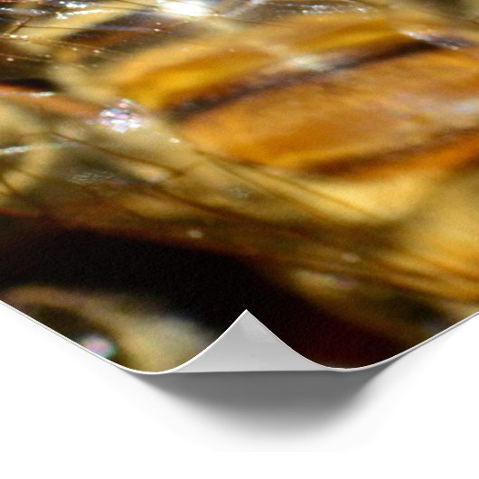 Honingbijen Poster (Hoek)