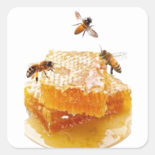 Honingbijen Sticker (Voorkant)