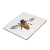 Honingbijen Tegeltje (Zijkant)