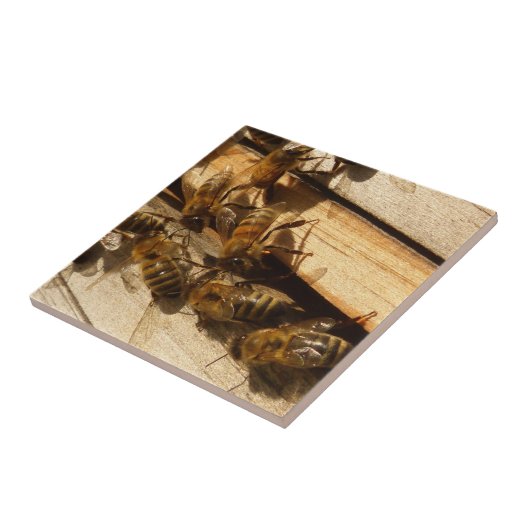 Honingbijen Tegeltje (Zijkant)