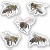 Honingbijen Vinyl Stickers (Voorkant)