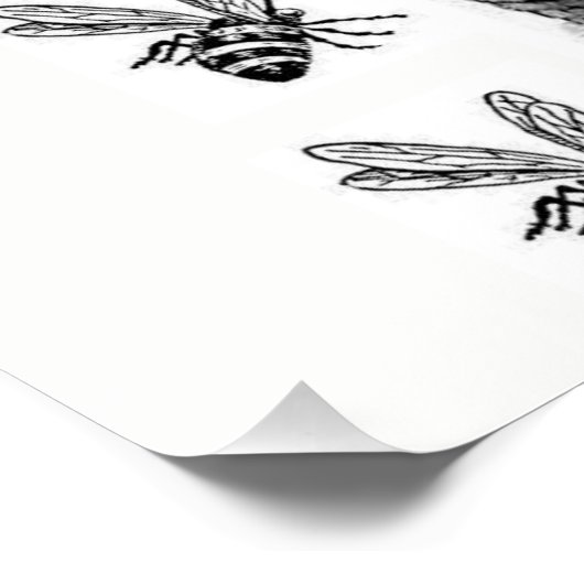 honingbijen wit zwart poster (Hoek)