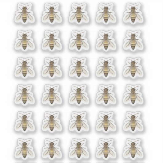 Honingbijenimkersnetjes Sticker (Voorkant)