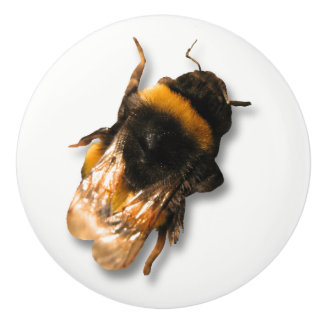 Honingbijenknop Keramische Knop