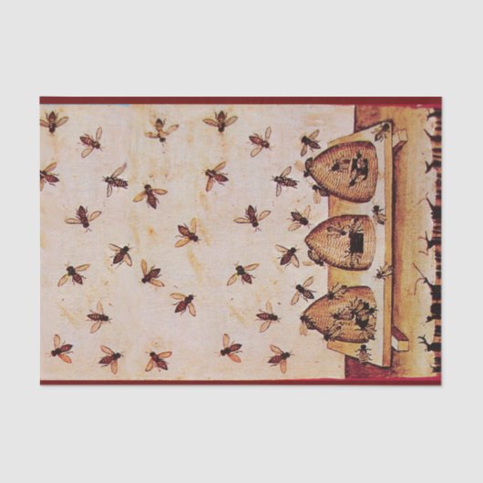 HONINGBIJENKORVEN ,BIJENTEELT, BIJENHOUDERSBENODIG TISSUEPAPIER (Voorkant)