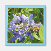 Honingbijenmagneet Magneet (Voorkant)