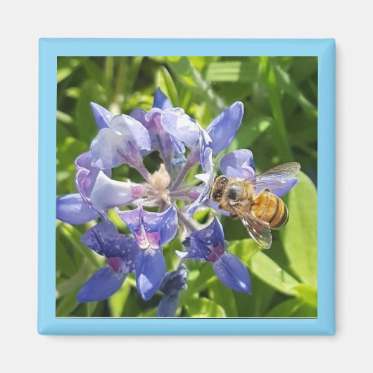 Honingbijenmagneet Magneet (Voorkant)