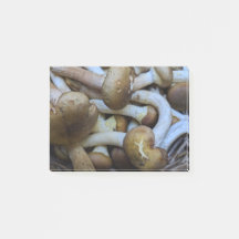 Honingpaddenstoelen, Apiata, Armillaria, opyenok