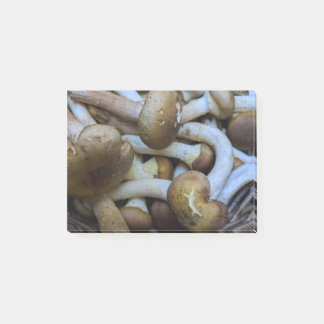 Honingpaddenstoelen, Apiata, Armillaria, opyenok Post-it® Notes