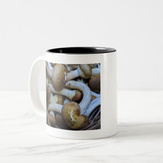 Honingpaddenstoelen, Apiata, Armillaria, opyenok Tweekleurige Koffiemok (Voorkant links)