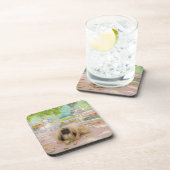 Honingpekingese in de Floral Bier Onderzetter (Rechterzijde)