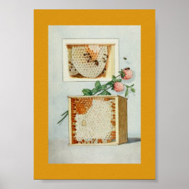 honingraat, bijen, bijenwas en roze klaver poster