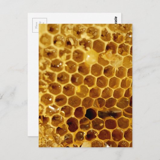 Honingraat Briefkaart (Voorkant / Achterkant)