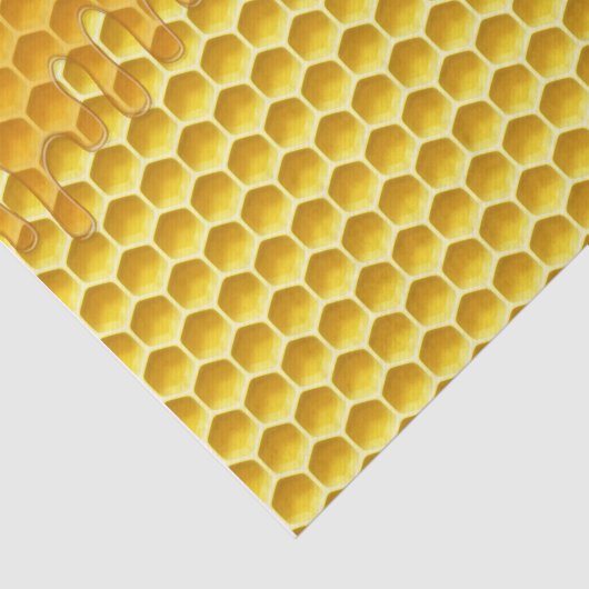 Honingraat druppelen met honing tissuepapier (Detail)