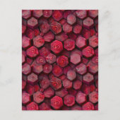 honingraatkever briefkaart (Voorkant)