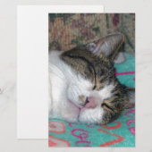 Honingslaap Briefpapier (Voorkant / Achterkant)