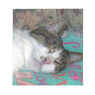 Honingslaap Notitieblok