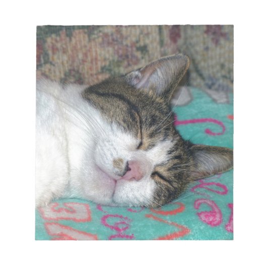 Honingslaap Notitieblok (Voorkant)