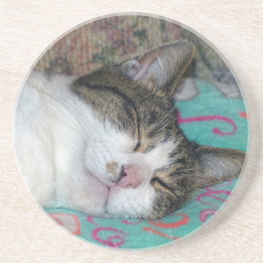 Honingslaap Zandsteen Onderzetter (Voorkant)