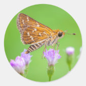 honingzoeker ronde sticker (Voorkant)
