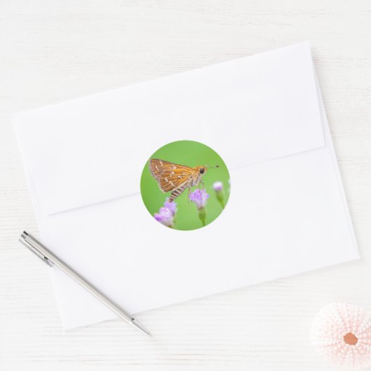 honingzoeker ronde sticker (Envelop)