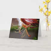 Honingzuig [Wenskaart] Kaart (Gele Bloem)