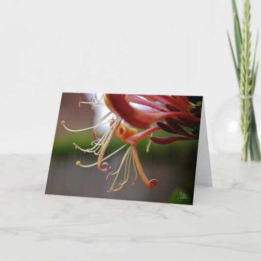 Honingzuig [Wenskaart] Kaart (Voorkant)