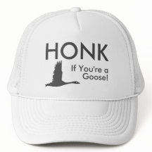 HONK als je een Goose Funny Gezegde Oval Sticker b