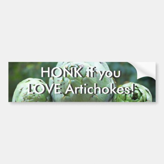 HONK als je van artisjokken houdt - Bumpersticker (Voorkant)