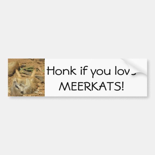 Honk als je van MEERKATS houdt! Bumpersticker (Voorkant)