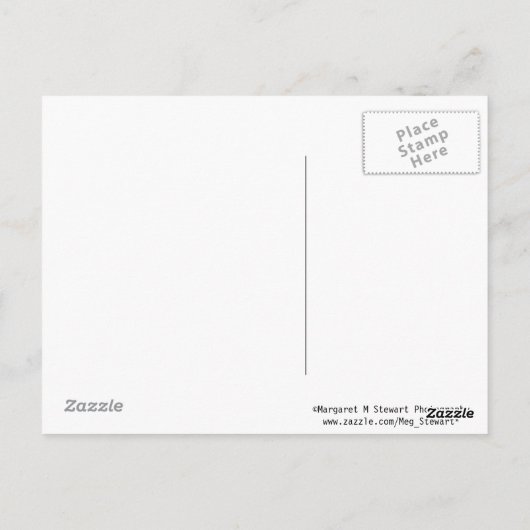 Honkbal bedankt Briefkaart (Achterkant)