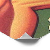  honkbal pin-up poster (Hoek)