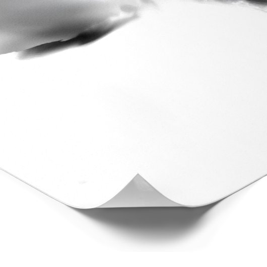 Honkbal Poster (Hoek)