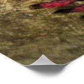  honkbal poster (Hoek)