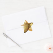 Honkbal Ster Sticker (Envelop)