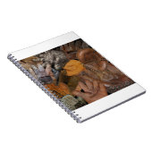 honkbalhandschoenen notitieboek (Rechterzijde)