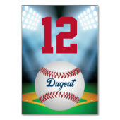 Honkbalstadion Bar Mitzvah Kaart (Achterkant)